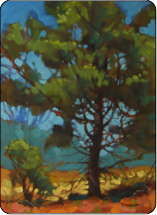 oil painting pine tree